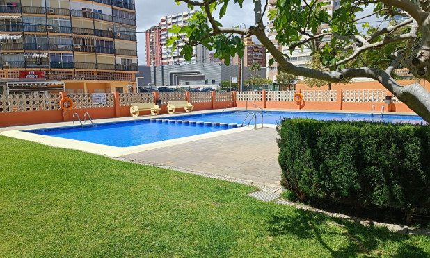 Wiederverkauf - Wohnung - Benidorm - Levante
