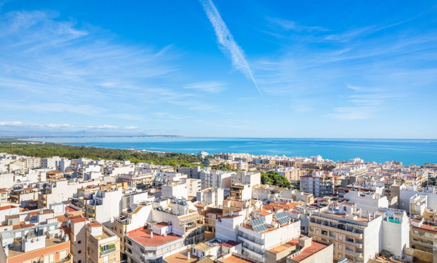 Obra nueva - Apartamento / piso - Guardamar del Segura - Centro