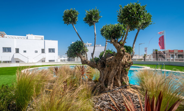 Wiederverkauf - Wohnung - Torrevieja - Los Balcones