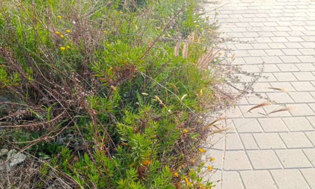 Resale - Plot / Land - Villajoyosa