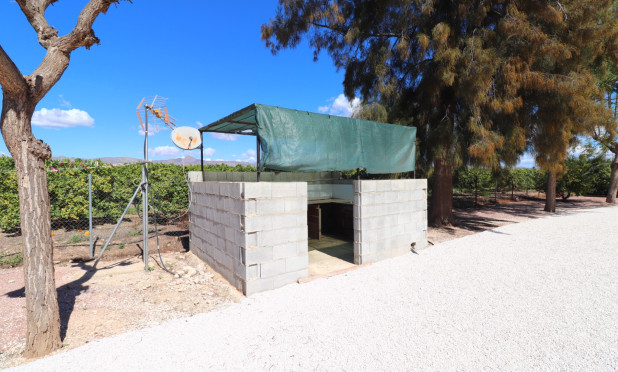 Revente - Finca / Country Property - Callosa de Segura - Callosa de Segura - Country