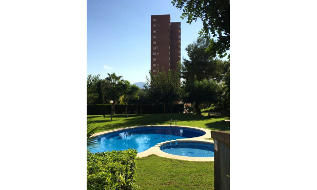 Resale - Apartment / flat - Benidorm - Zona de Poniente