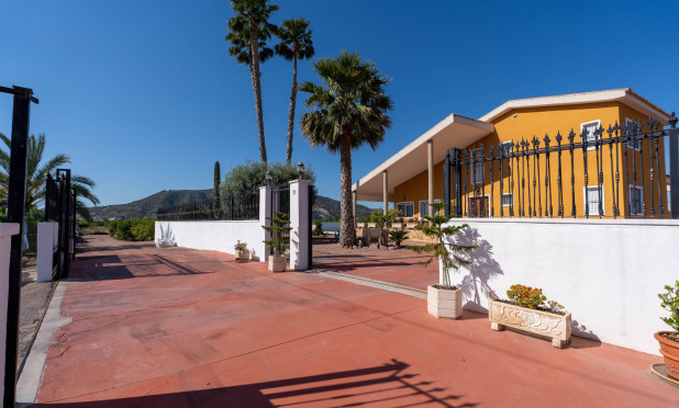 Herverkoop - Villa - Orihuela