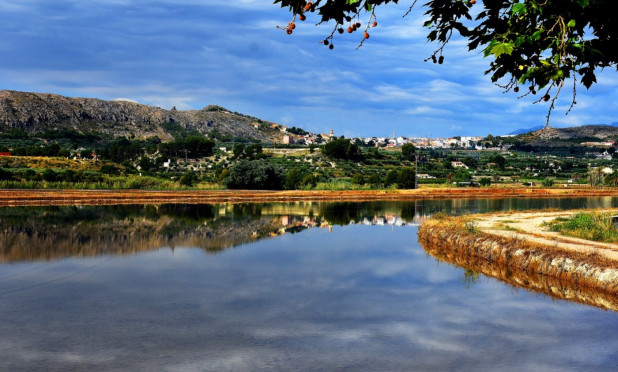 Obra nueva - Villa - Calasparra - Coto Riñales