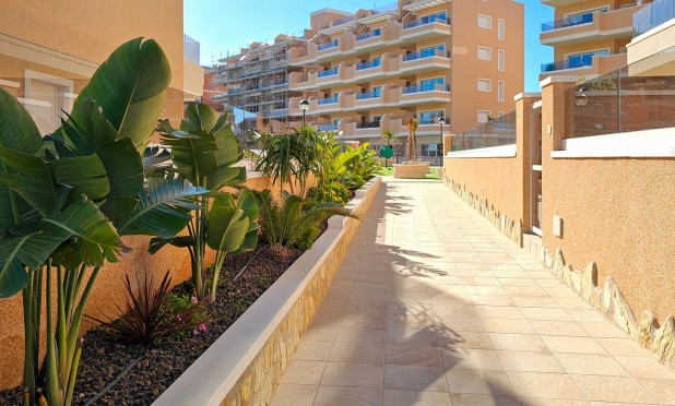 Revente - Appartement - Guardamar del Segura - Guardamar Del Segura