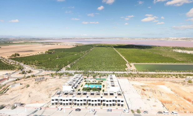 Obra nueva - Adosado - Torrevieja - Los Balcones