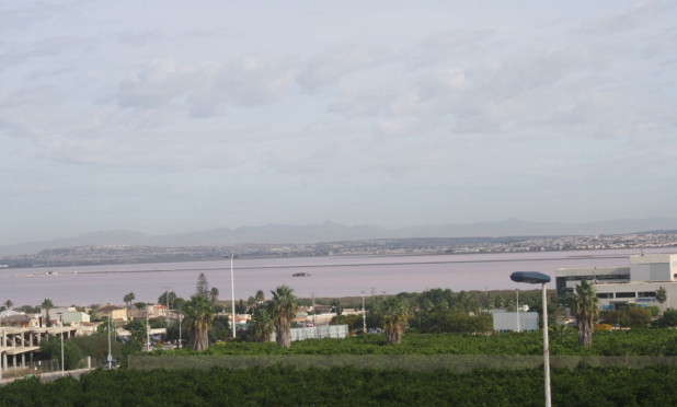 Obra nueva - Adosado - Torrevieja - Los Altos