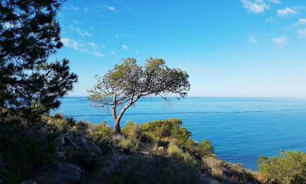 Neue Gebäude - Wohnung - Villajoyosa - Playas Del Torres