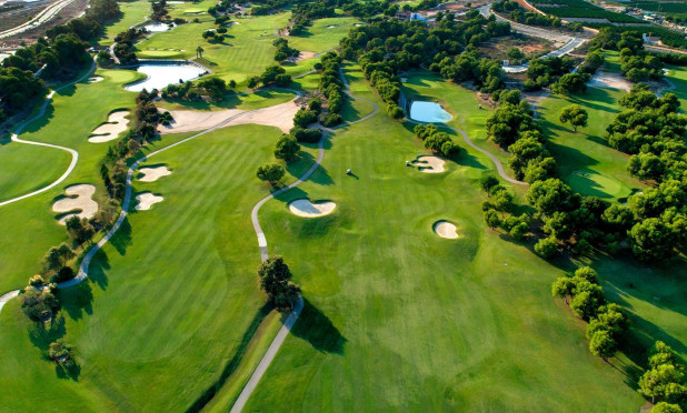 Neue Gebäude - Villa - Pilar de la Horadada - Lo Romero Golf