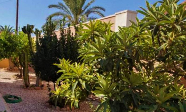 Reventa - Villa - Torrevieja - torrevieja