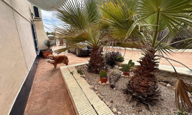 Wiederverkauf - Villa - Sax