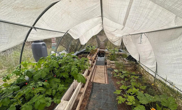 Wiederverkauf - Villa - Sax