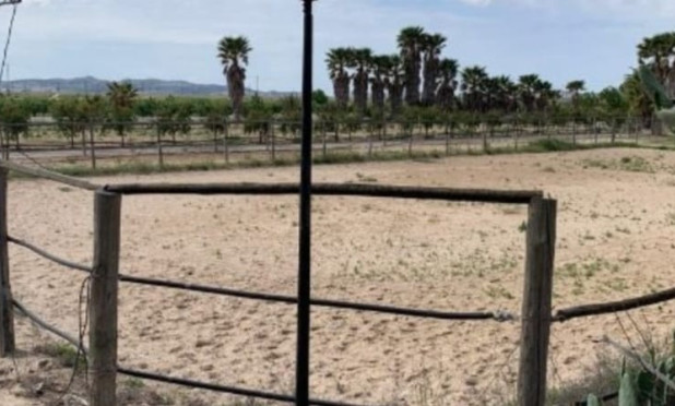 Wiederverkauf - Villa - Monforte del Cid