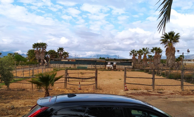 Wiederverkauf - Villa - Monforte del Cid