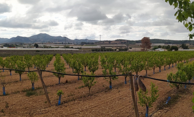 Wiederverkauf - Villa - Monforte del Cid