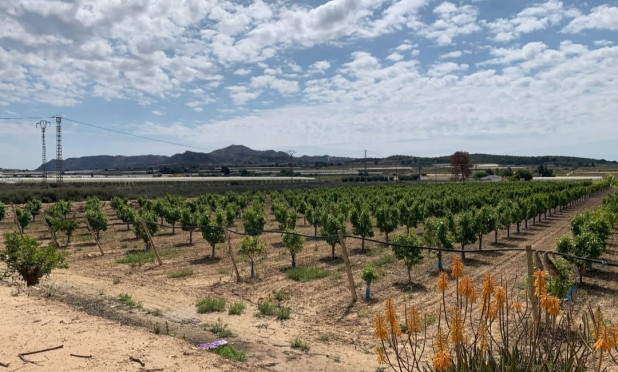 Wiederverkauf - Villa - Monforte del Cid