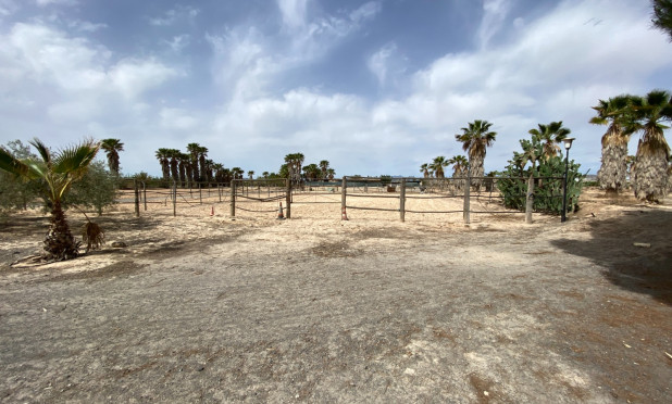 Wiederverkauf - Villa - Monforte del Cid