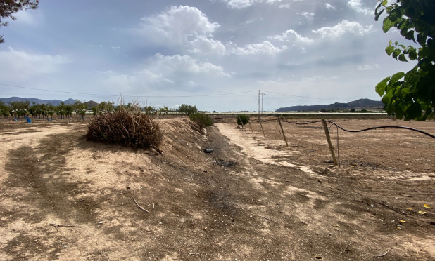 Wiederverkauf - Villa - Monforte del Cid