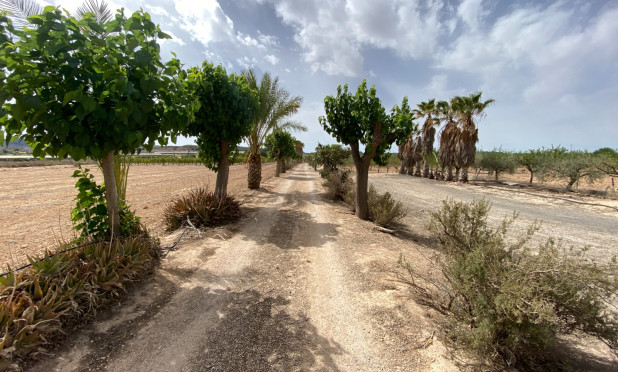 Wiederverkauf - Villa - Monforte del Cid