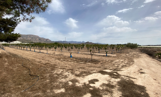 Wiederverkauf - Villa - Monforte del Cid