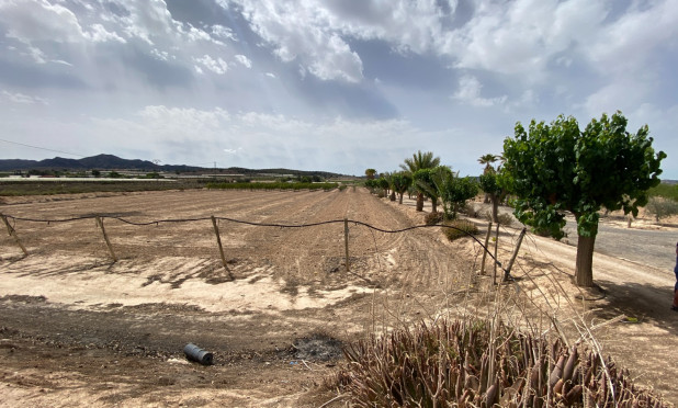 Wiederverkauf - Villa - Monforte del Cid