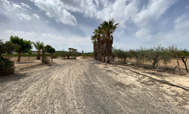 Wiederverkauf - Villa - Monforte del Cid