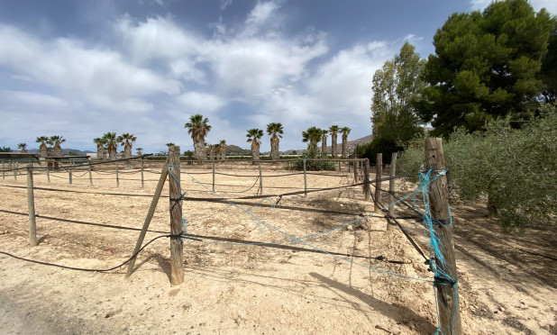 Wiederverkauf - Villa - Monforte del Cid