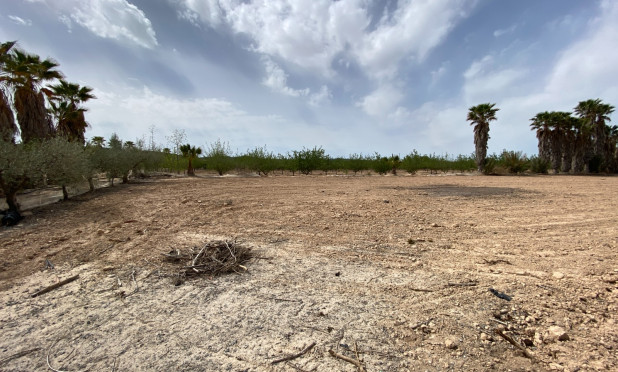 Wiederverkauf - Villa - Monforte del Cid