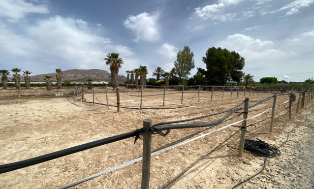 Wiederverkauf - Villa - Monforte del Cid