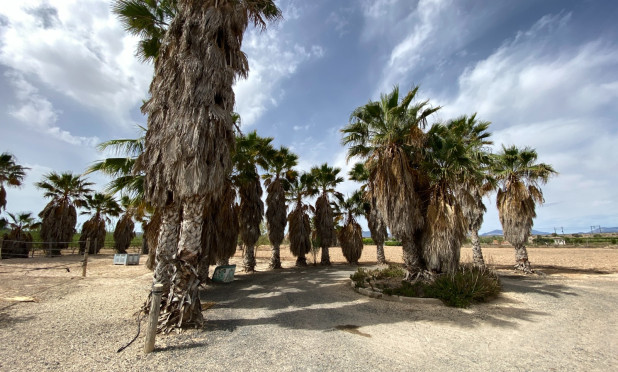 Wiederverkauf - Villa - Monforte del Cid