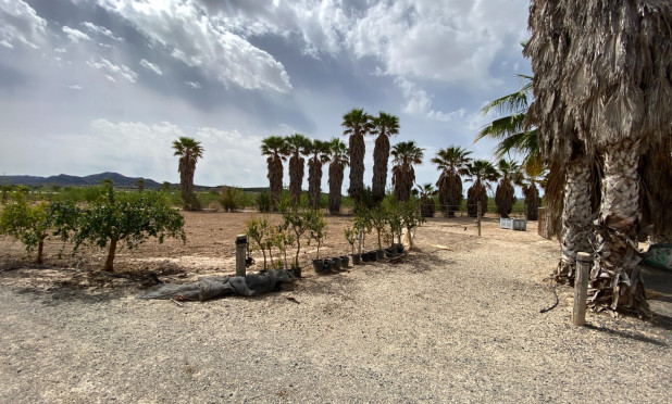 Wiederverkauf - Villa - Monforte del Cid