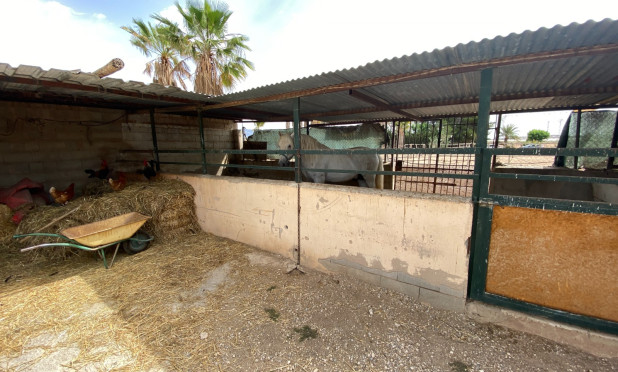 Wiederverkauf - Villa - Monforte del Cid