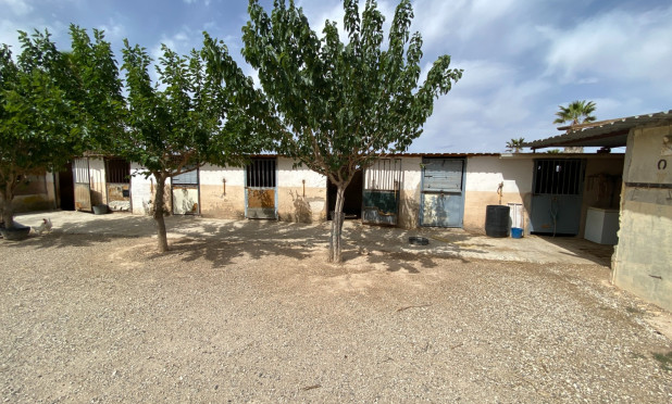 Wiederverkauf - Villa - Monforte del Cid