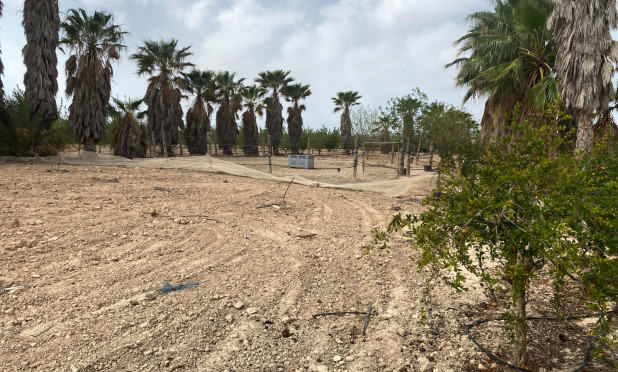 Wiederverkauf - Villa - Monforte del Cid