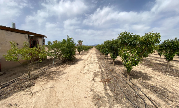 Wiederverkauf - Villa - Monforte del Cid