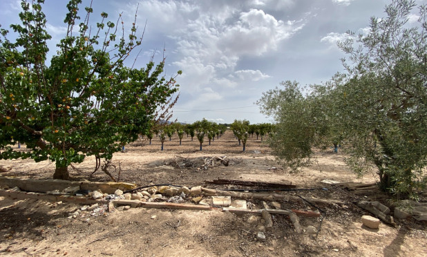 Wiederverkauf - Villa - Monforte del Cid