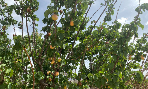 Wiederverkauf - Villa - Monforte del Cid