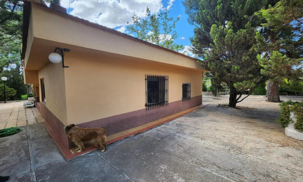 Reventa - Villa - Sax