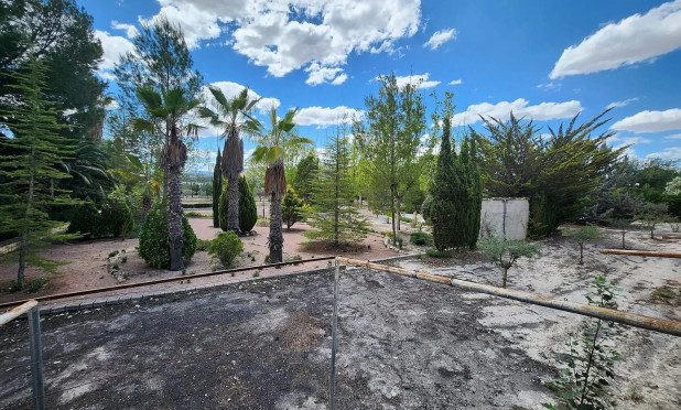 Reventa - Villa - Sax