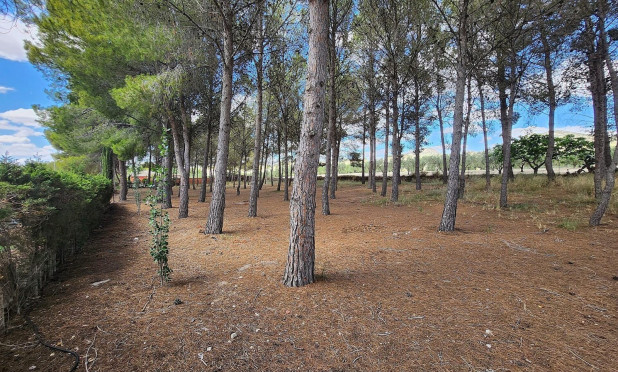 Reventa - Villa - Sax