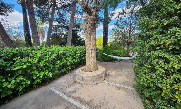 Reventa - Villa - Sax