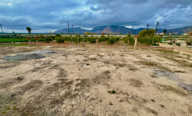 Revente - Finca / Propriété rurale - Orihuela