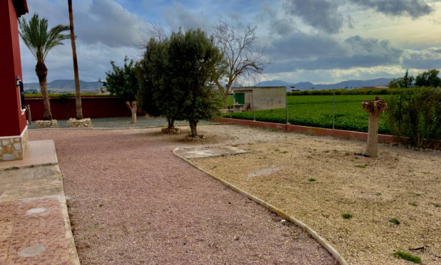 Revente - Finca / Propriété rurale - Orihuela