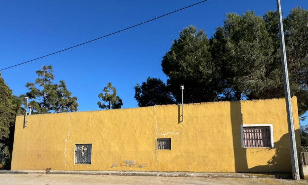 Resale - Finca / Country Property - Guardamar del Segura - Guardamar Del Segura