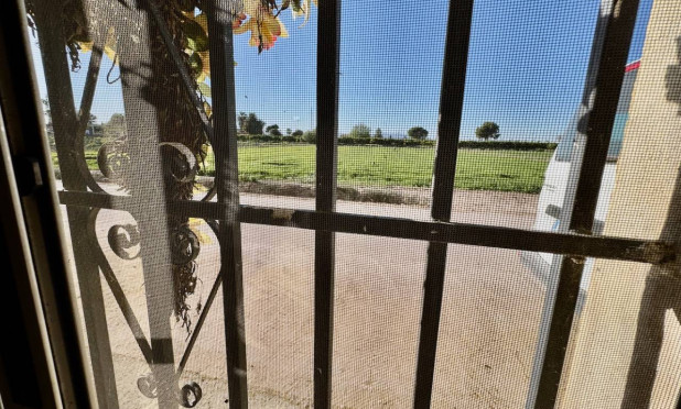 Resale - Finca / Country Property - Guardamar del Segura - Guardamar Del Segura