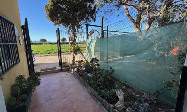 Resale - Finca / Country Property - Guardamar del Segura - Guardamar Del Segura