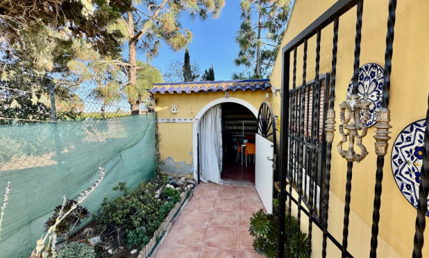 Resale - Finca / Country Property - Guardamar del Segura - Guardamar Del Segura