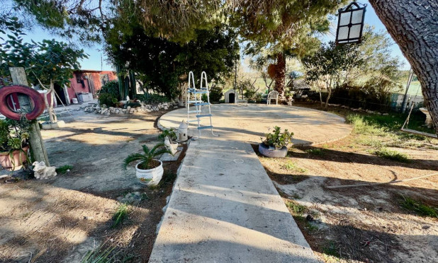 Resale - Finca / Country Property - Guardamar del Segura - Guardamar Del Segura