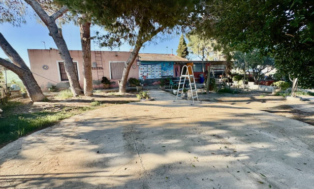 Resale - Finca / Country Property - Guardamar del Segura - Guardamar Del Segura