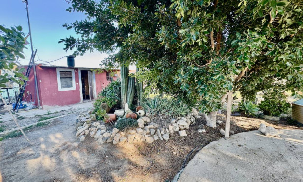 Resale - Finca / Country Property - Guardamar del Segura - Guardamar Del Segura